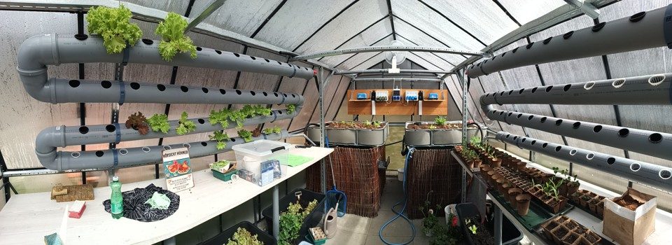 The greenhouse shortly after the setup