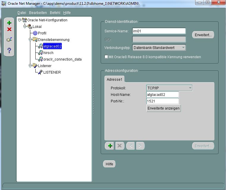 Adding a db service in 11g